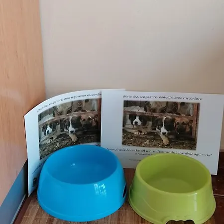 Lägenhet Frodo Haus Tazacorte